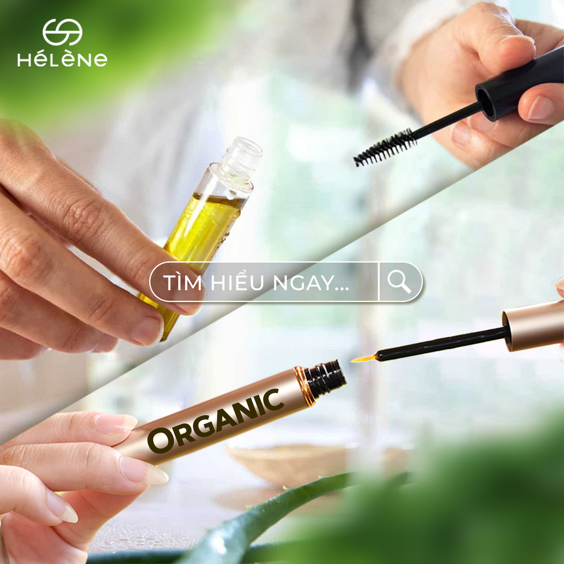 Mỹ phẩm hữu cơ và mỹ phẩm thiên nhiên: Sự khác biệt là gì?
